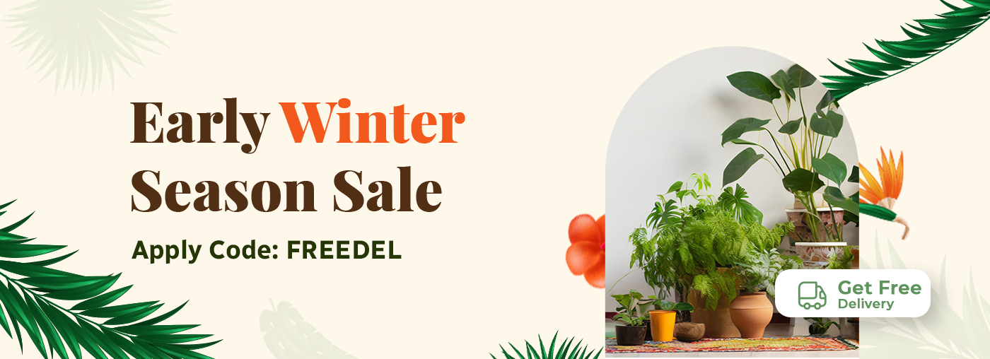 Early Winter Sale