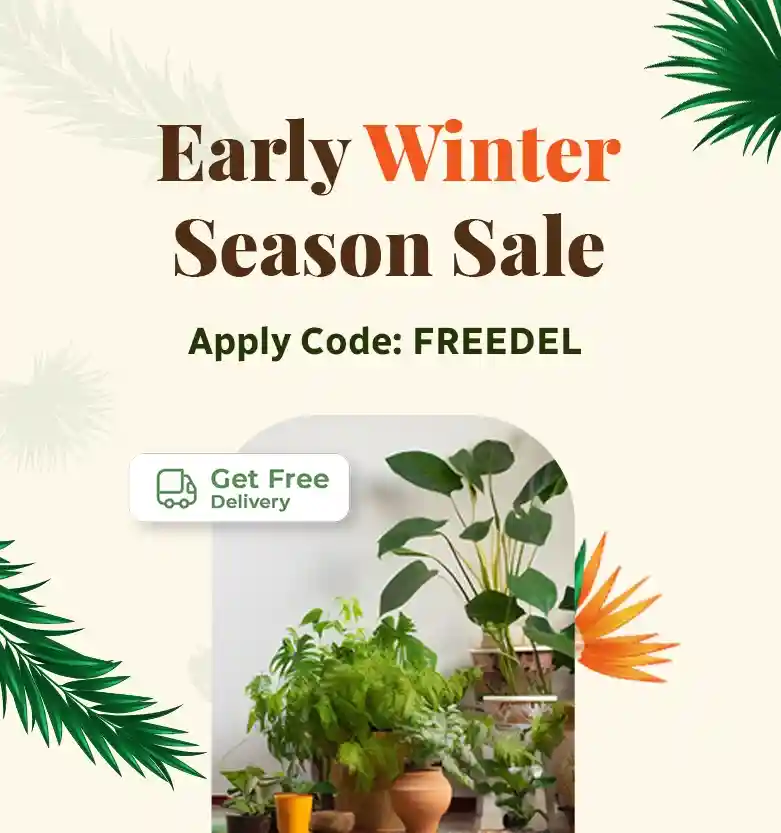Early-Winter-Sale