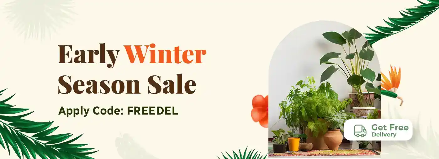 Winter Sale
