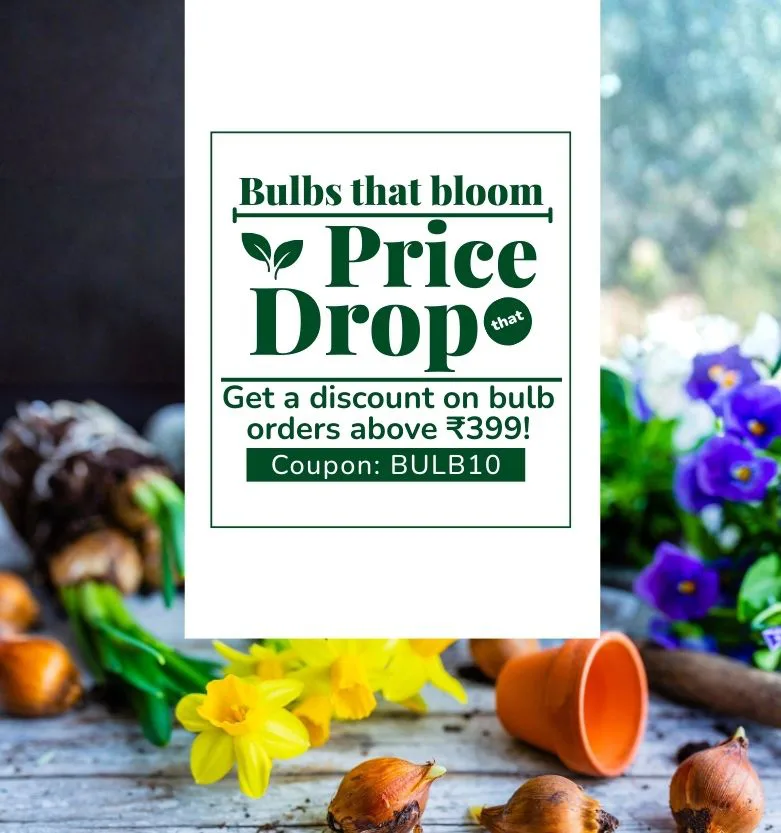 Grow-Your-Home-Grow-Your-Nation-Coupon-Code-GROWINDIA-Mob