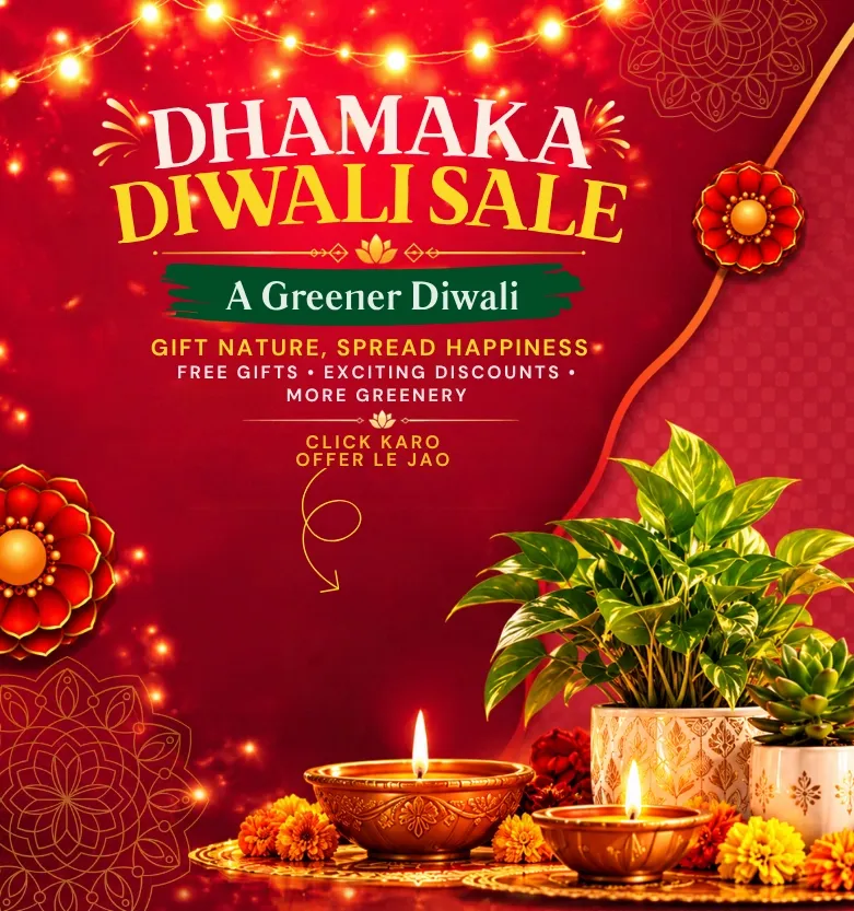 Diwali Sale Discount uojau
