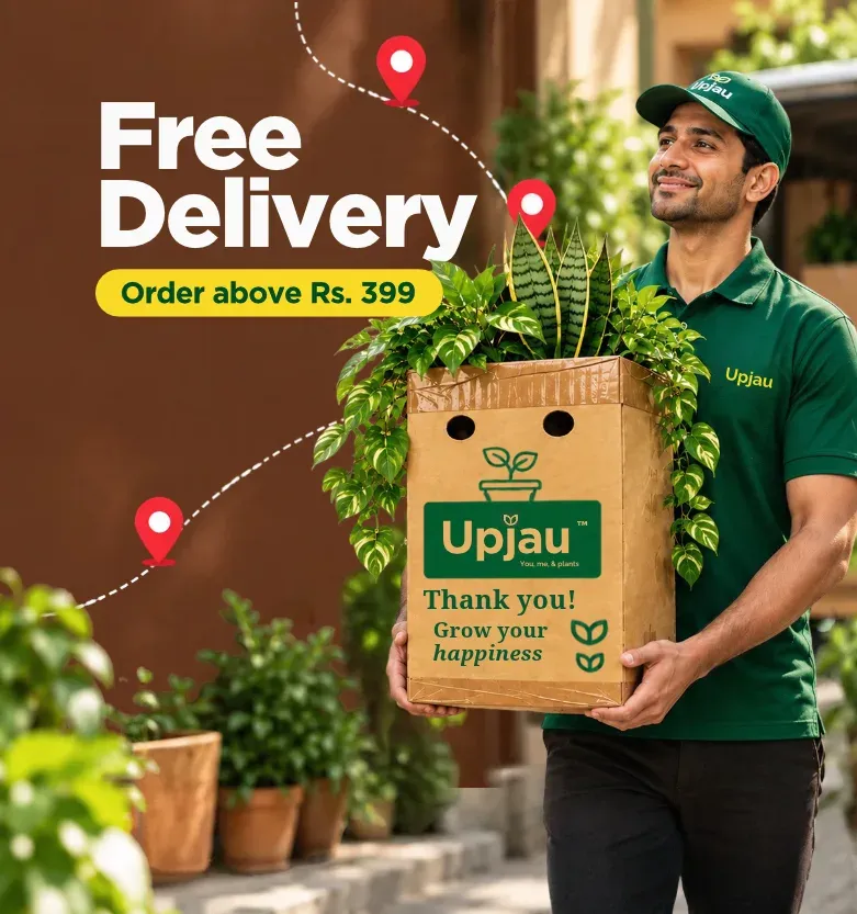 Navraati Sale Upjau