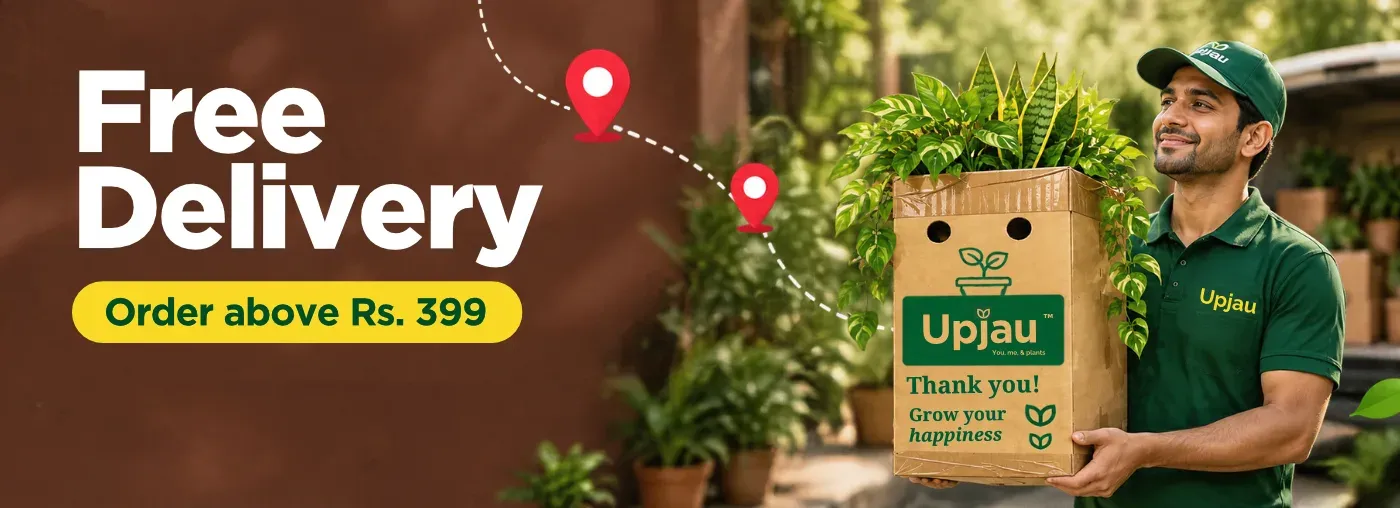 Free delivery Upjau