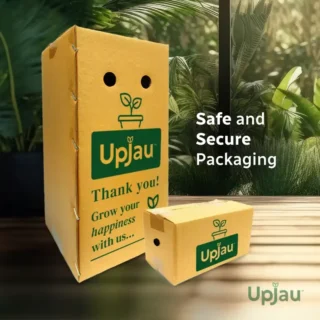 upjau packaging box