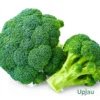 Broccoli Seeds