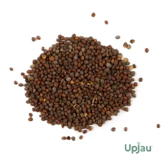 buy-broccoli-seeds-online