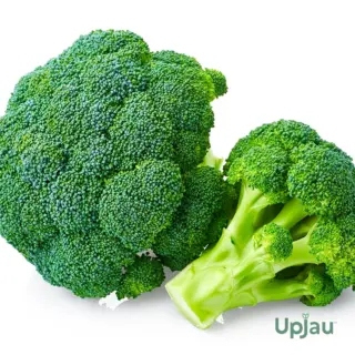 buy-broccoli-seeds-online-india