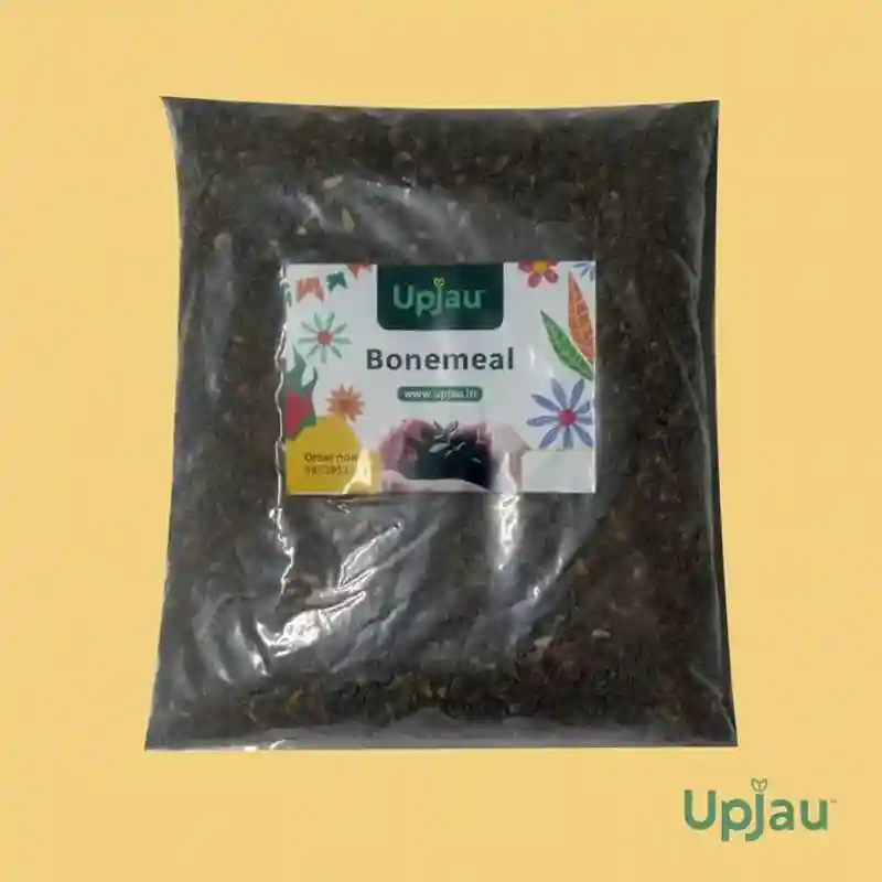 bonemeal_1