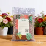 DAP Organics Fertilizer (Best For Flowering Plants)