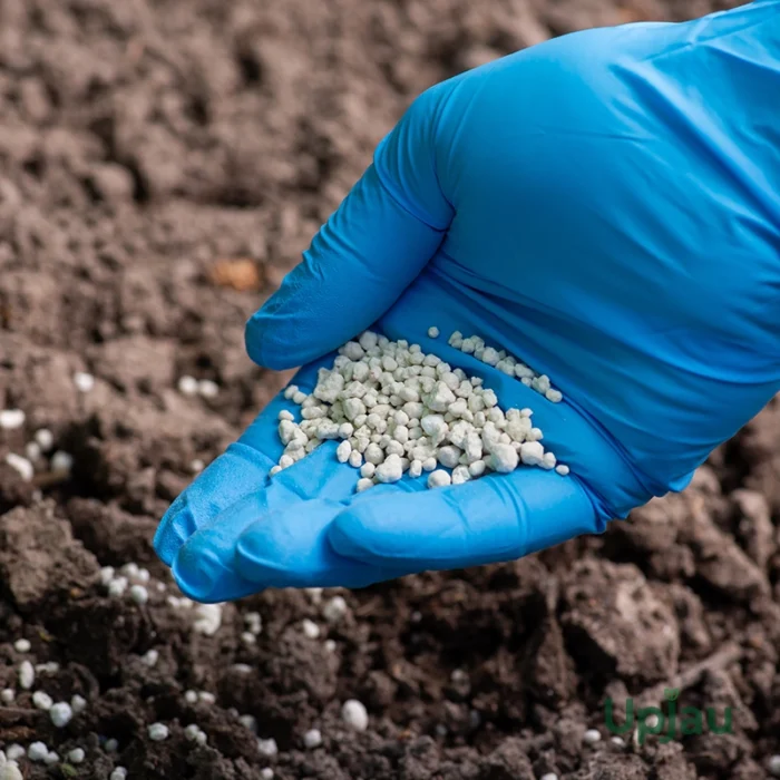 NPK (19:19:19) Granules Fertilizer For Plants