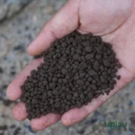 Seaweed Organic Plant Food - 100 gm