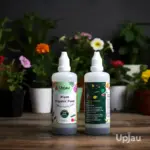 Plant food liquid fertilizer