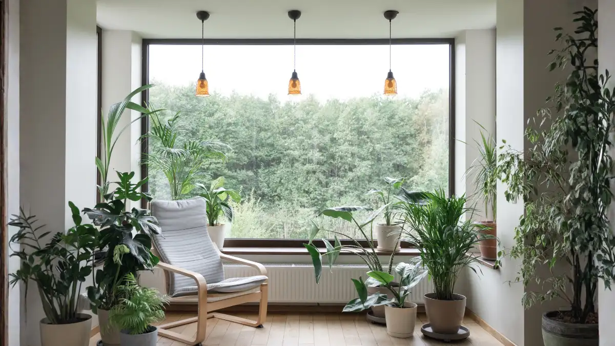 Easy Air-Purifying Choices_1200x675_Blogs