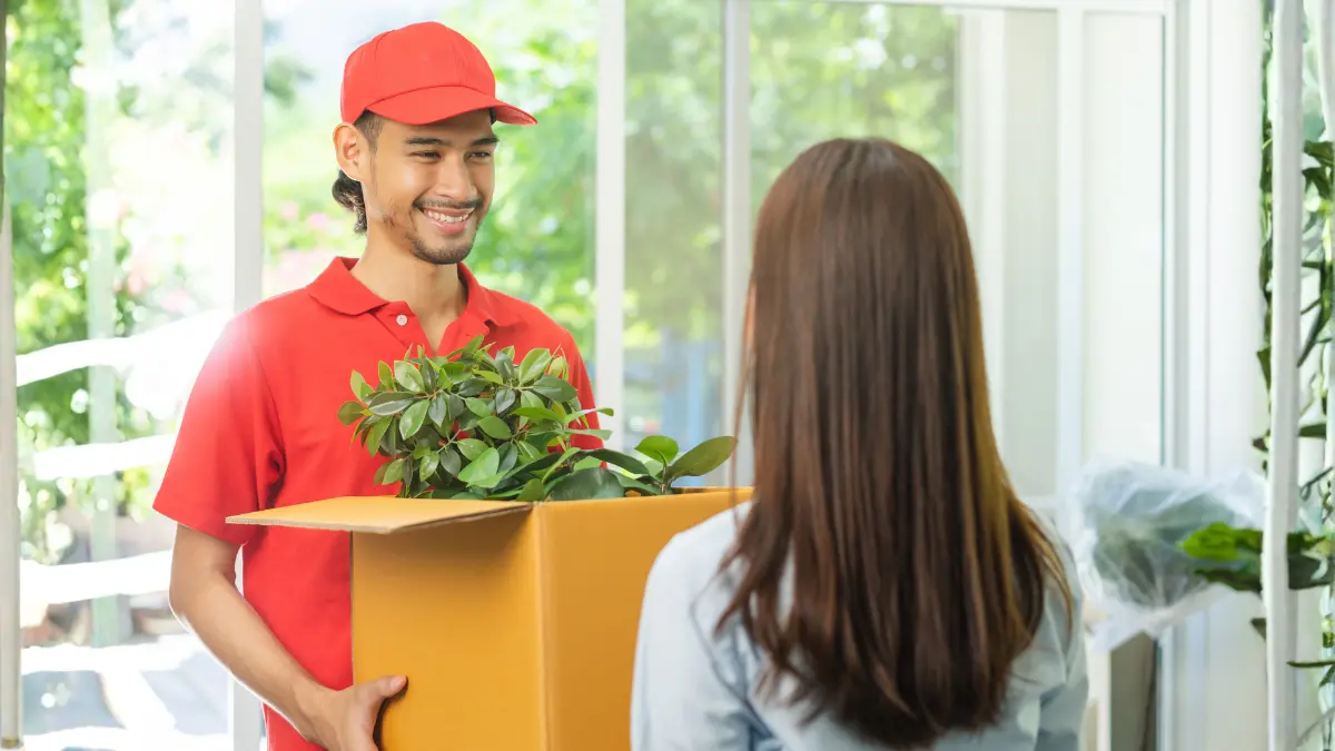 Top Online Plant Stores _1200x675_Blogs