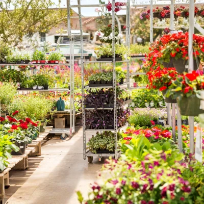 online plant nursery