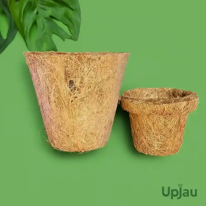 Cocpeat pot