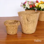 Cocopeat Pot / Seedling Pot / Coir Plant Pots (Combo of 8)