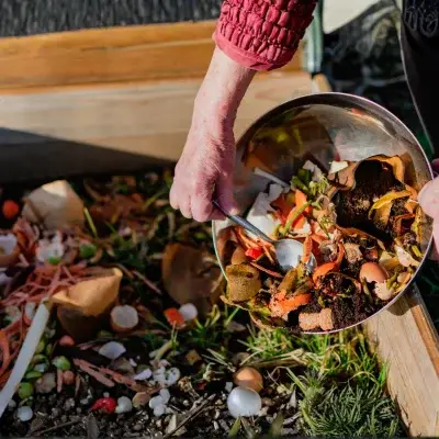 red wiggler earthworms vermicomposting