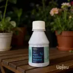 Seaweed Fertilizer for Plants in India | Organic Growth Booster Online