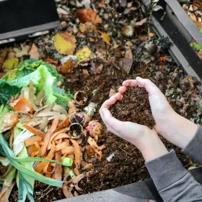 vermicomposting materials kitchen waste