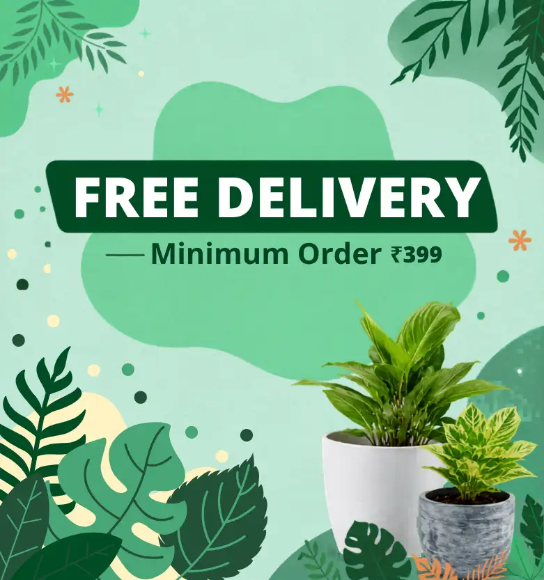 Free delivery_1