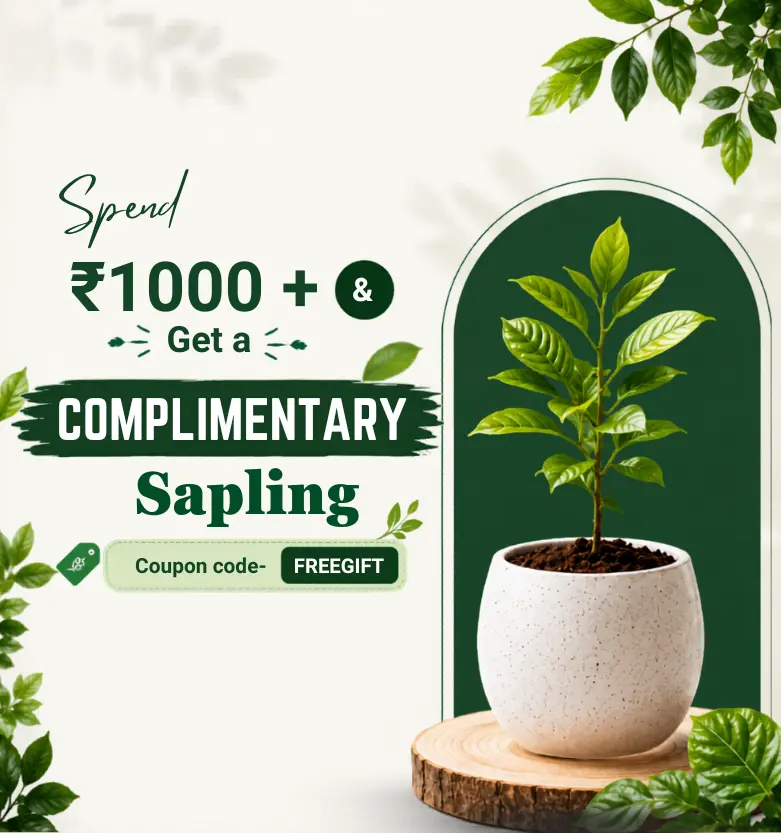 Spring sale_upjau