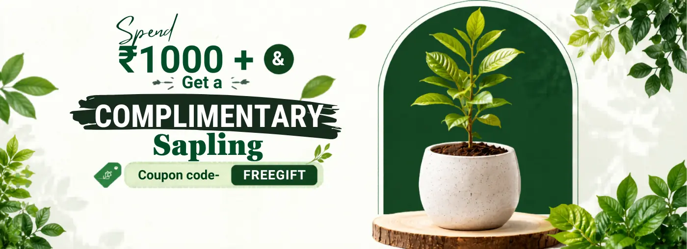 Spring sale_upjau