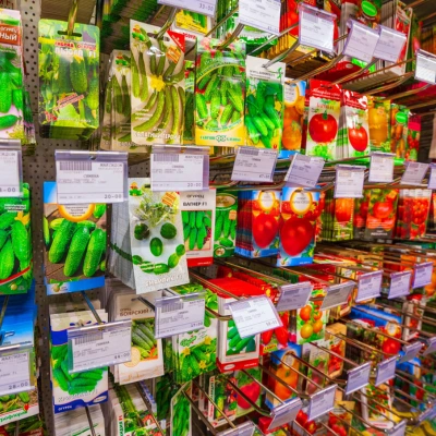 terrace garden seeds india