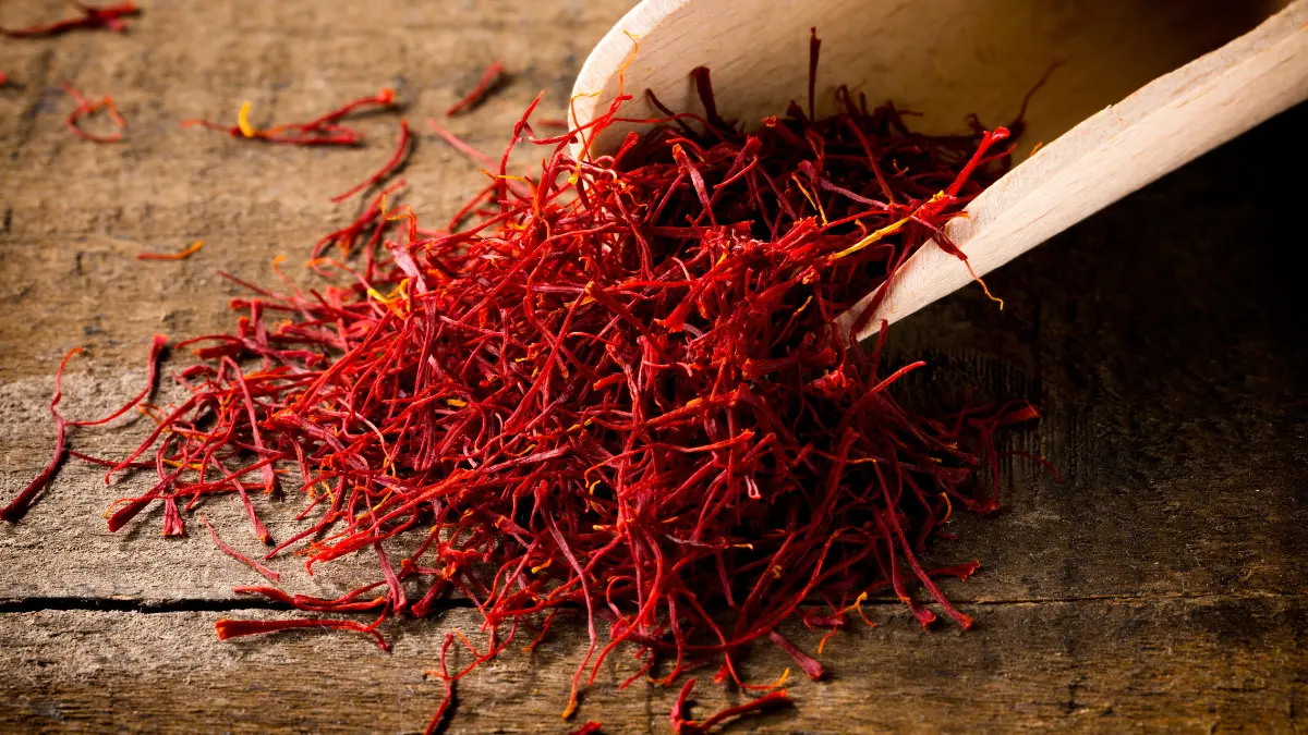 grow-saffron-at-home-india-guide