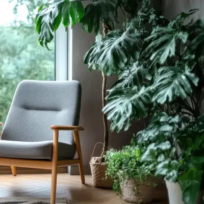 healthy indoor plants home