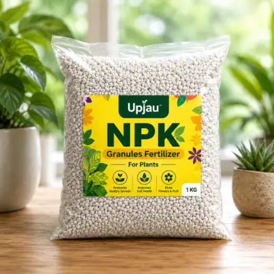 NPK Fertilizer