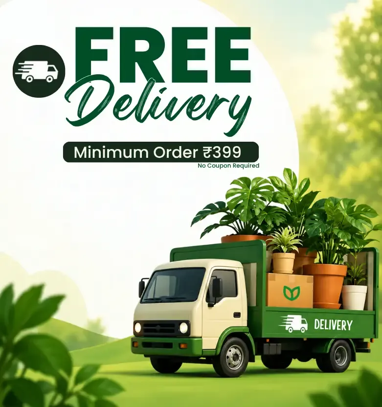 Free Delivery_Upjau
