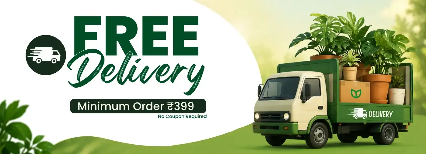 Free Delivery_Upjau