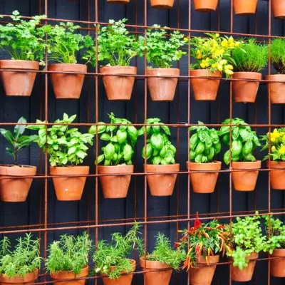 Vertical Plant Gardening