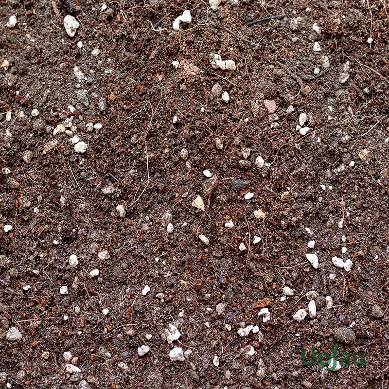 cocopeat soil mixture