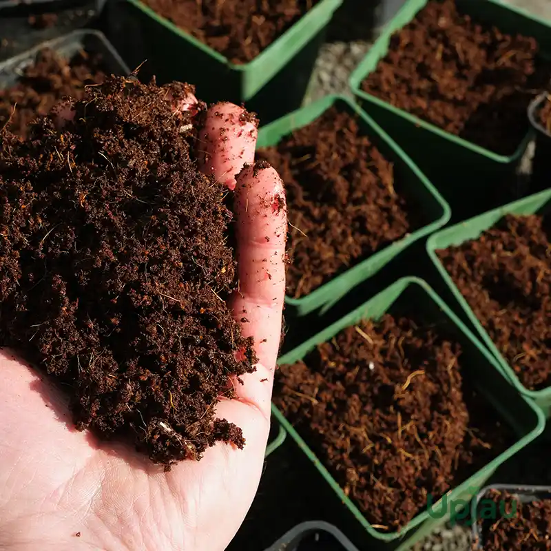 cocopeat soil mixture2
