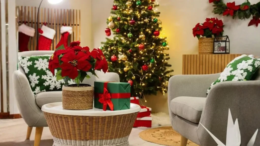 Best Plants for Christmas Home Decoration: A Complete Guide for Indian Homes