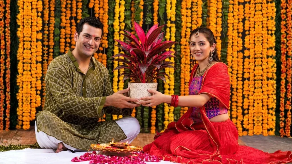 Bhai Dooj Gift Ideas: Best Plants to Gift Your Brother/Sister