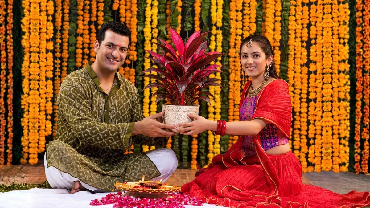 Bhai Dooj Gift Ideas Best Plants to Gift Your BrotherSister