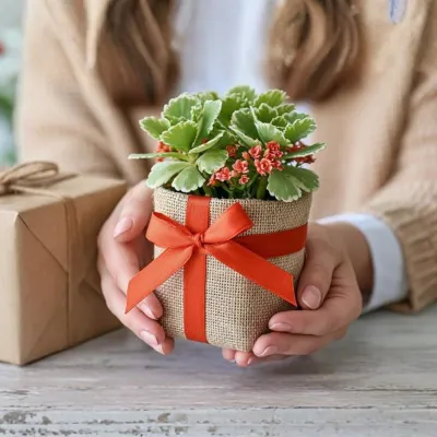 Customized Pots, Branding and Gift Wrapping