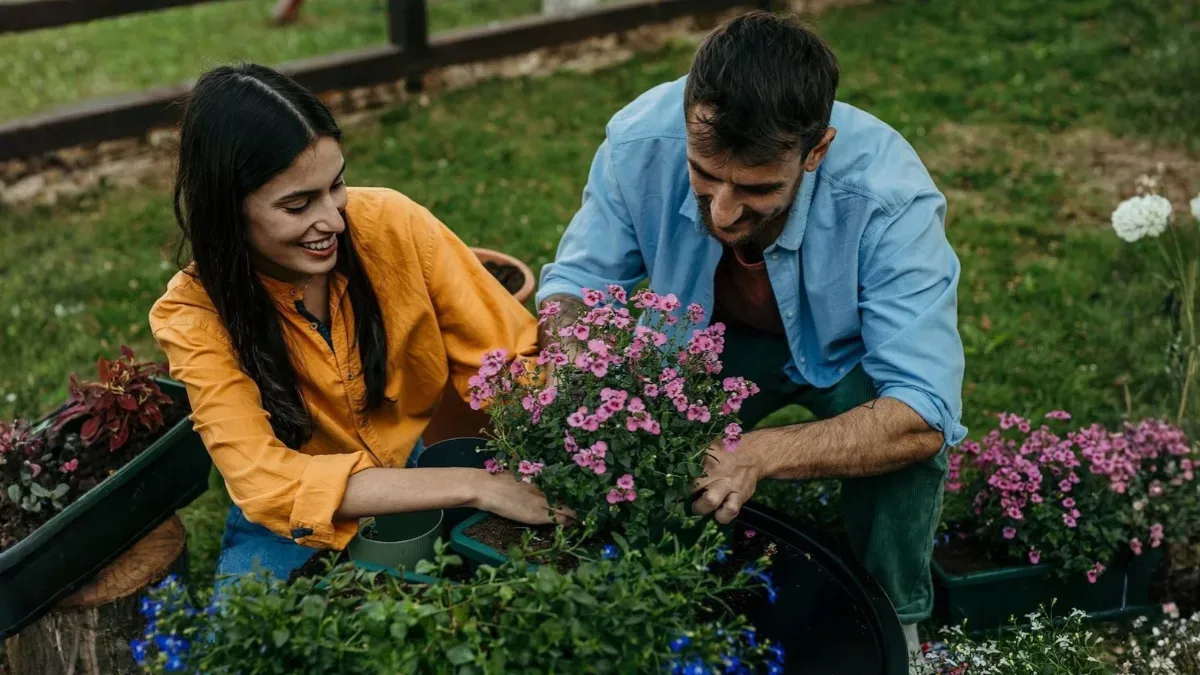 How to Prepare Your Garden for Winter in India A Complete Guide