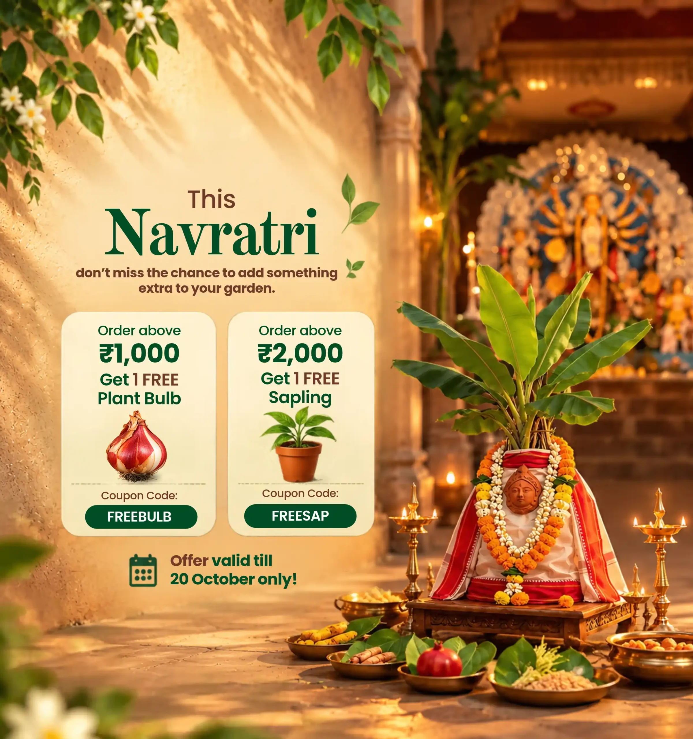 Navrati Sale on plants upjau