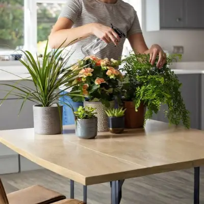 Plant Watering