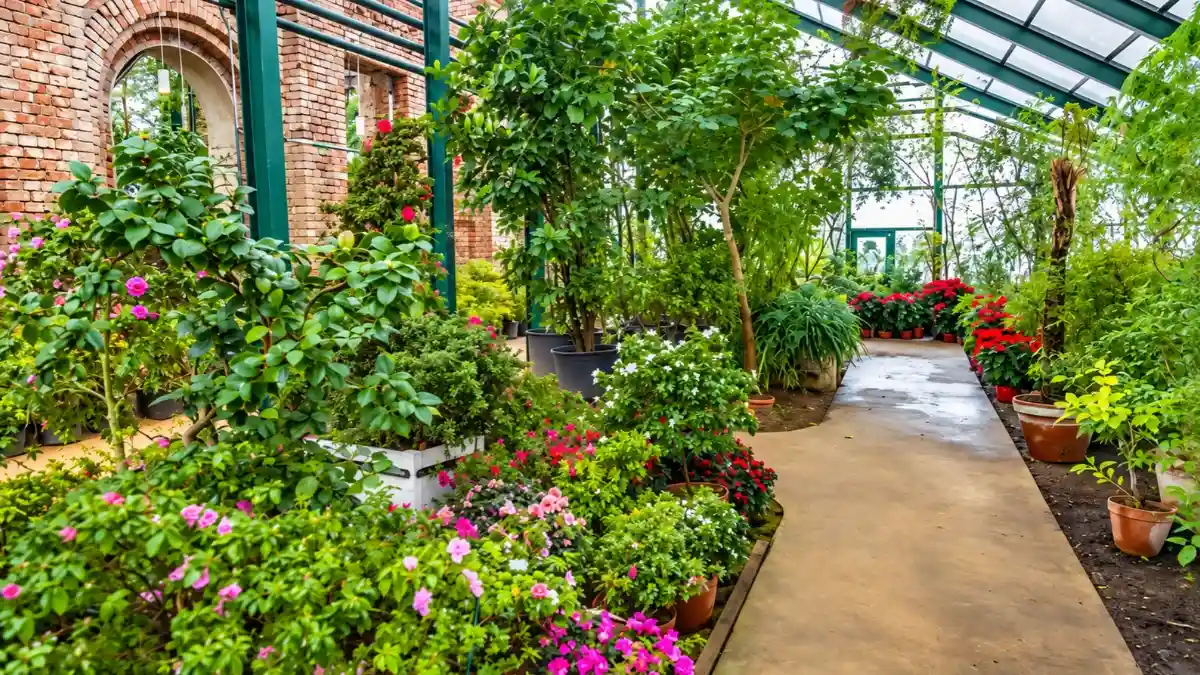 Winter Garden Ideas 15 Plants for a Colorful Home Garden