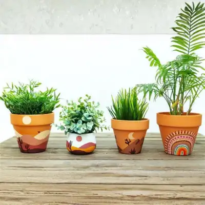 ZZ Plant