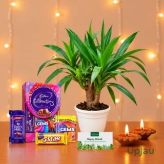 full hamper (All items) Brazilian wood