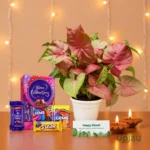 Diwali Gift Box- Syngonium With Card