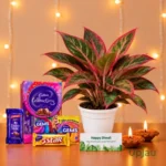 Diwali Gift Box- Aglaonema Lipstick With Card