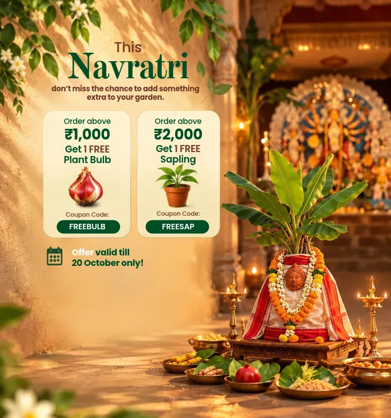 Navraati Sale Upjau